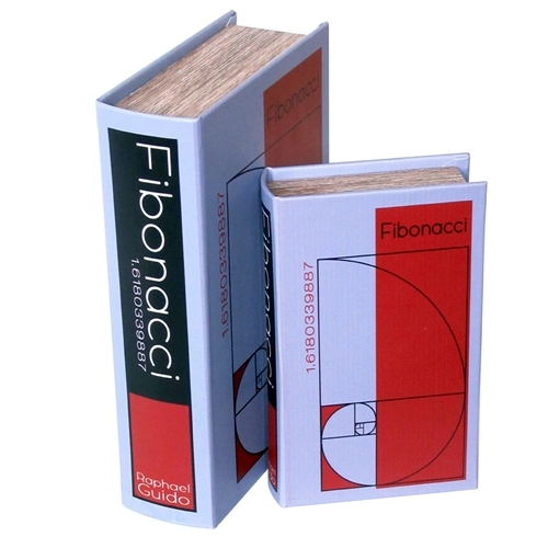 BOOK BOX ブックボックス 2個セット(本型箱) (LL・Lサイズ)／Fibonacci