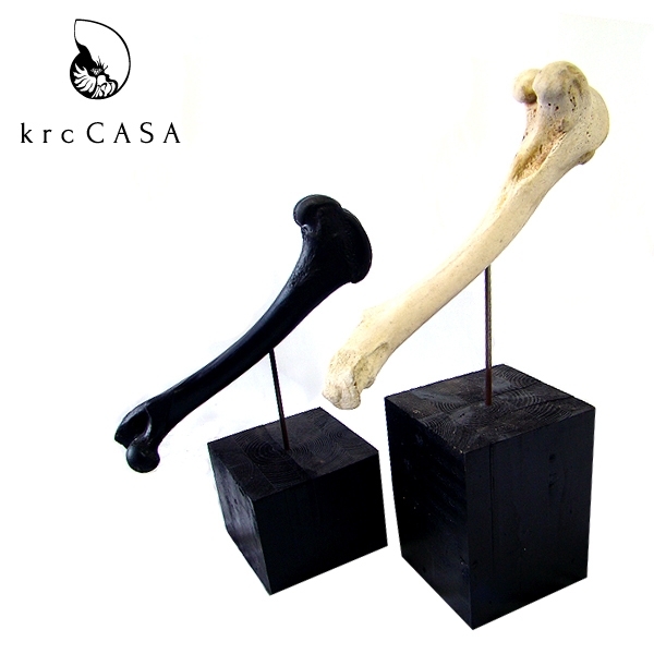 【送料無料】<krcCASA>BONE ORNAMENT ボーンオーナメント【メーカー直送品】