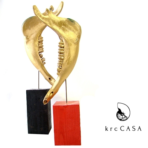 【送料無料】<krcCASA>BONE ORNAMENT ボーンオーナメント【メーカー直送品】