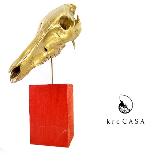 【送料無料】<krcCASA>BONE ORNAMENT ボーンオーナメント【メーカー直送品】