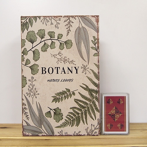 BOOK BOX ブックボックス(本型箱) (LLサイズ)／BOTANTY【取り寄せ品／納期1週間前後】