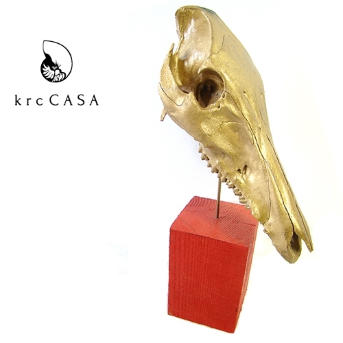 【送料無料】<krcCASA>BONE ORNAMENT ボーンオーナメント【メーカー直送品】