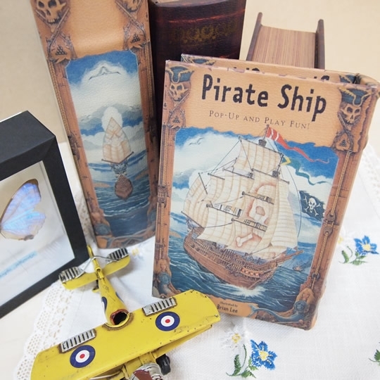 BOOK BOX ブックボックス 2個セット(本型箱) (LL・Mサイズ)／～Pirate Ship～